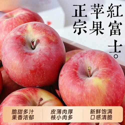 山东烟台栖霞红富士苹果新鲜水果脆甜整箱产地直发黄金农场自提