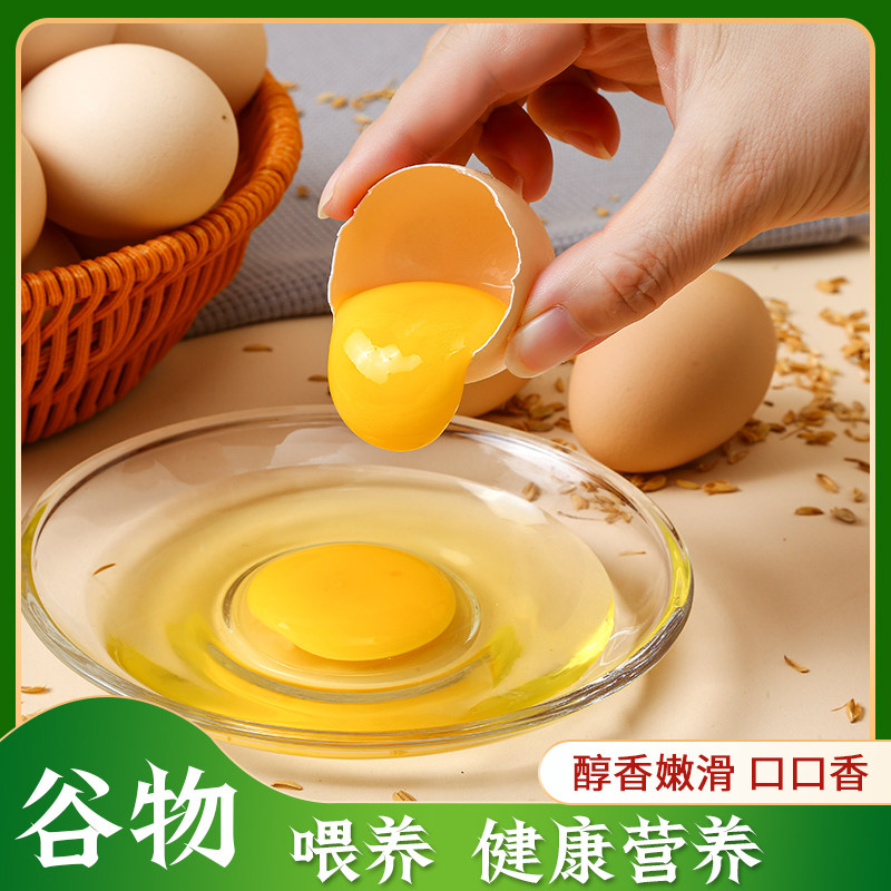 当日农家散养生态五谷喂养鲜鸡蛋40g+