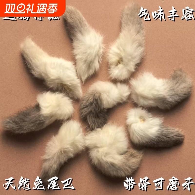 真兔尾巴带尾骨猫咪丰容玩具毛绒闻嗅自嗨解闷逗猫棒宠物动物神器