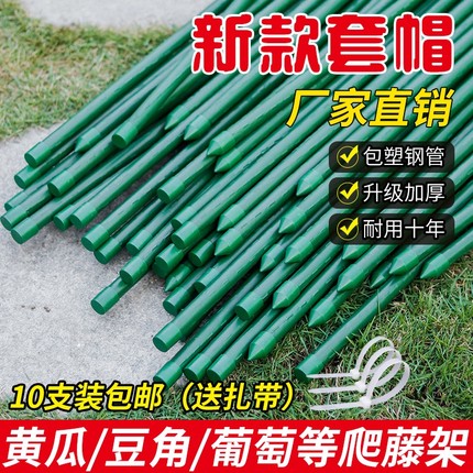 爬藤架花架葡萄番茄豆角黄瓜架子包塑钢管植物种菜搭架园艺支撑杆