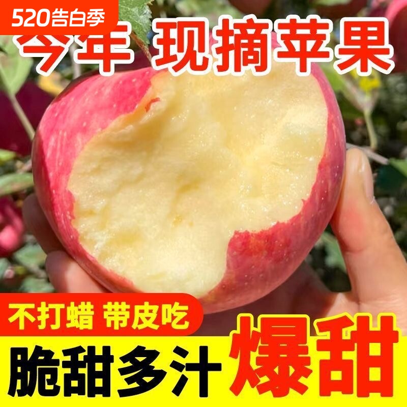 正宗山西运城红富士苹果新鲜脆甜水果冰糖心孕妇水果整箱批发