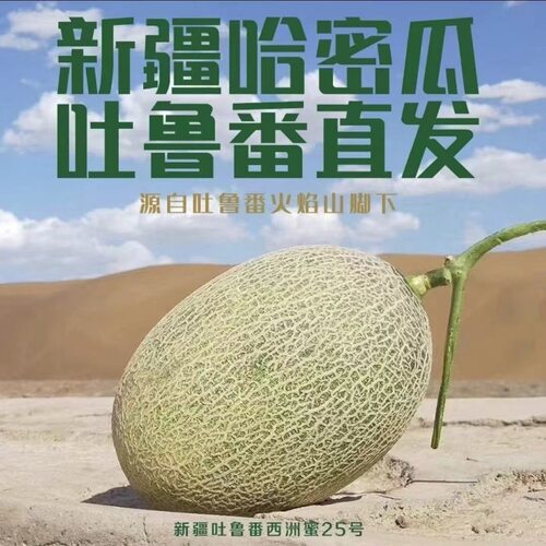 正宗新疆火焰山哈密瓜