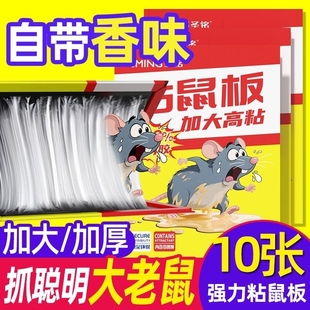 家用粘鼠板灭鼠神器专粘大灭老鼠贴强力胶捕鼠板加胶水超强仓库