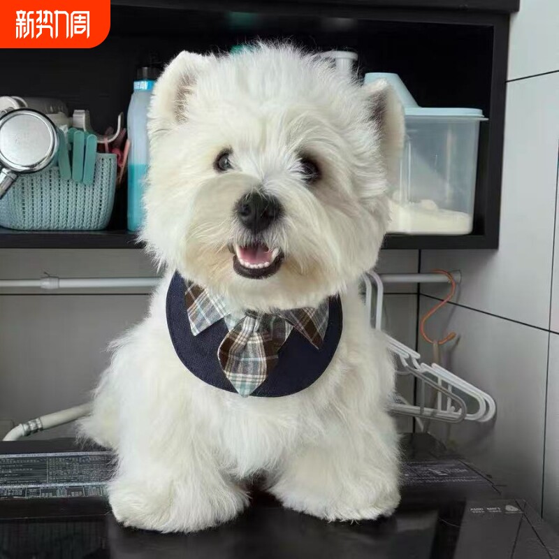 猫咪狗狗三角巾围脖口水巾围巾领带披肩格子手工围兜百搭领结饰品