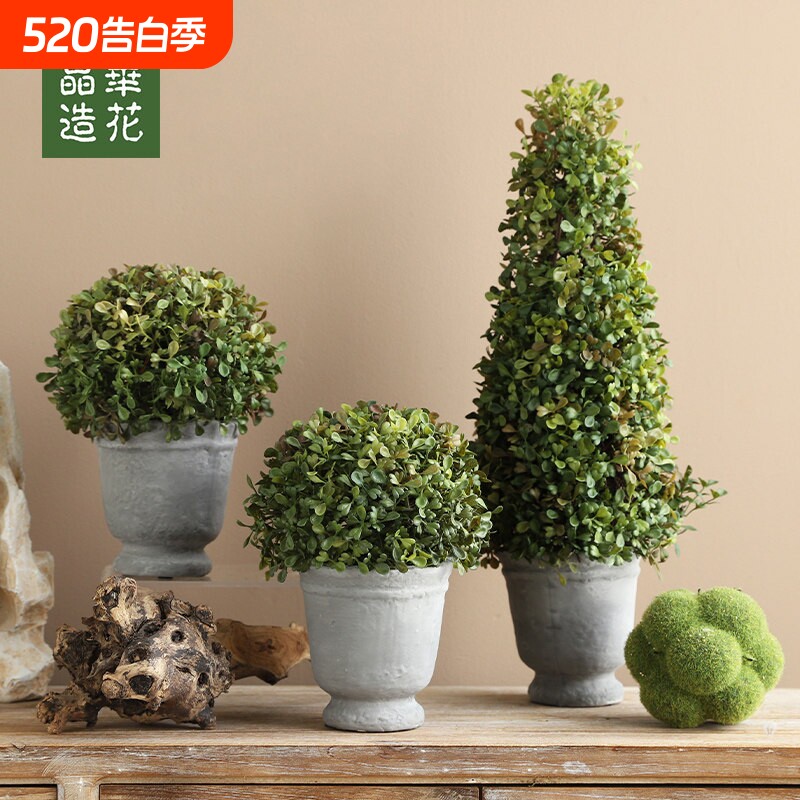晶华仿真薄荷绿文竹植盆栽迷你仿真小盆栽植物摆件仿真小绿植盆栽