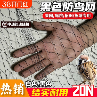涤纶防护网高强涤纶合股防鸟网果园果树大棚防鸟天网户外鱼塘养殖