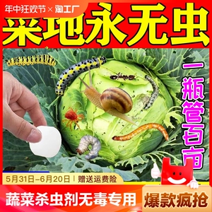 蔬菜杀虫剂无毒菜地专用杀蜗牛青虫蚜虫土壤杀虫药植物园艺防虫片