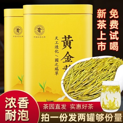 正宗2024年新茶黄金芽茶叶绿茶明前特级礼盒装散装高山吉安白茶