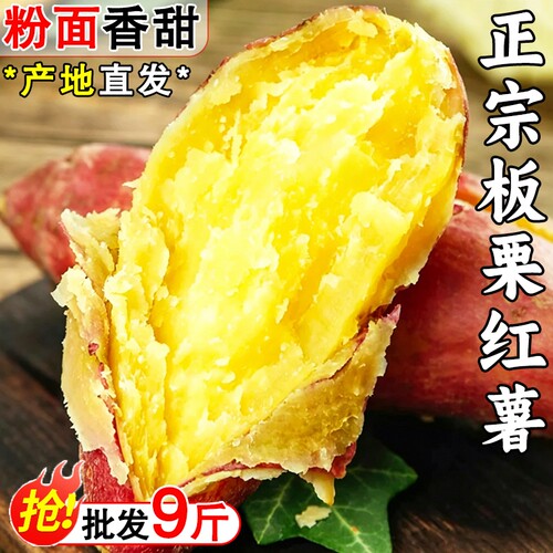 2026年板栗红薯粉面番薯新鲜现挖