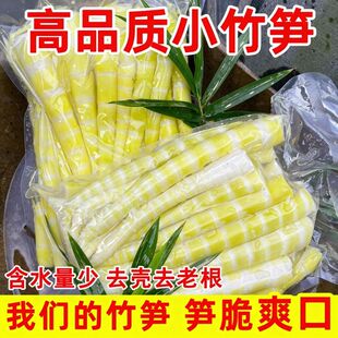 四川小竹笋新鲜春笋罗汉笋野生嫩笋尖火锅笋子干方竹笋商用批发