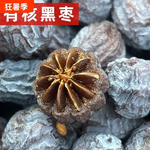 河北涉县有核黑枣君迁子带核软枣小黑枣小柿子圆枣特产非大乌枣