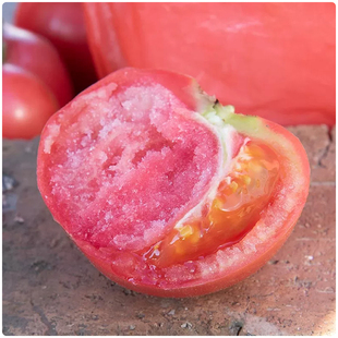 山东本地沙瓤西红柿番茄不催熟自然成熟可生吃酸甜爽口当季蔬菜