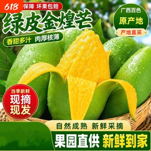 广西百色青皮金煌芒果甜心芒3/9斤新鲜现摘水果肉小甜蜜多汁5香蕉