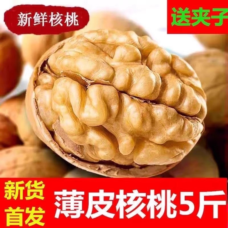 2025年特价新疆天然薄皮核桃批发坚果生大核桃原味185纸皮核桃生