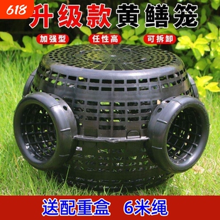 捕鱼笼网笼新款捕捉鱼神器一体款抓鱼网捕黄鳝泥鳅网鱼笼只进不出