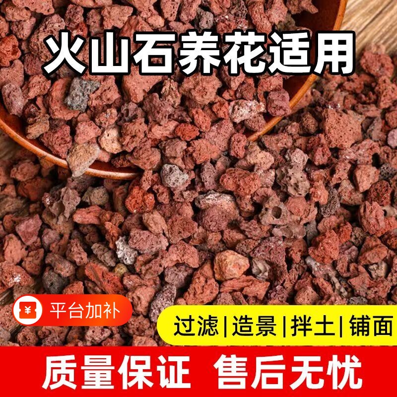 精筛天然火山石铺面兰花专用拌土火山岩颗粒高温灭菌多肉专用土