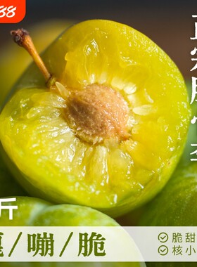 正宗四川脱骨李|脆甜多汁