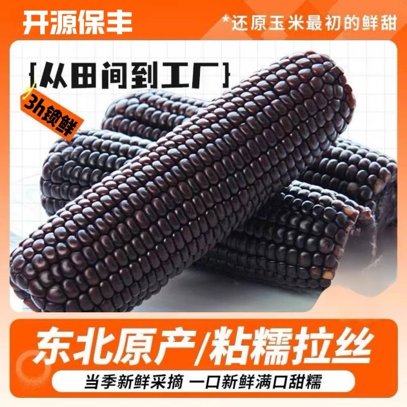 3小时锁鲜东北黑龙江甜糯苞米黏糯拉丝黑玉米富含花青素低脂代餐