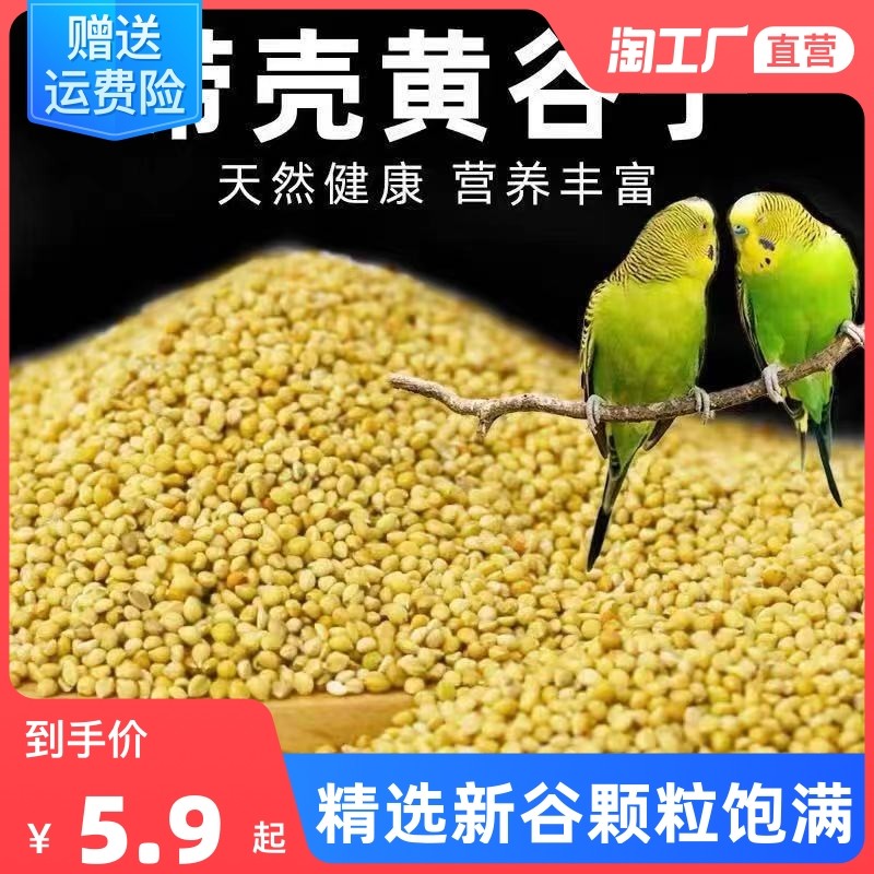 新黄谷子带壳小米虎皮牡丹玄凤中小型鹦鹉文鸟鸟粮鸟食鸟饲料5斤怎么样,好用不?