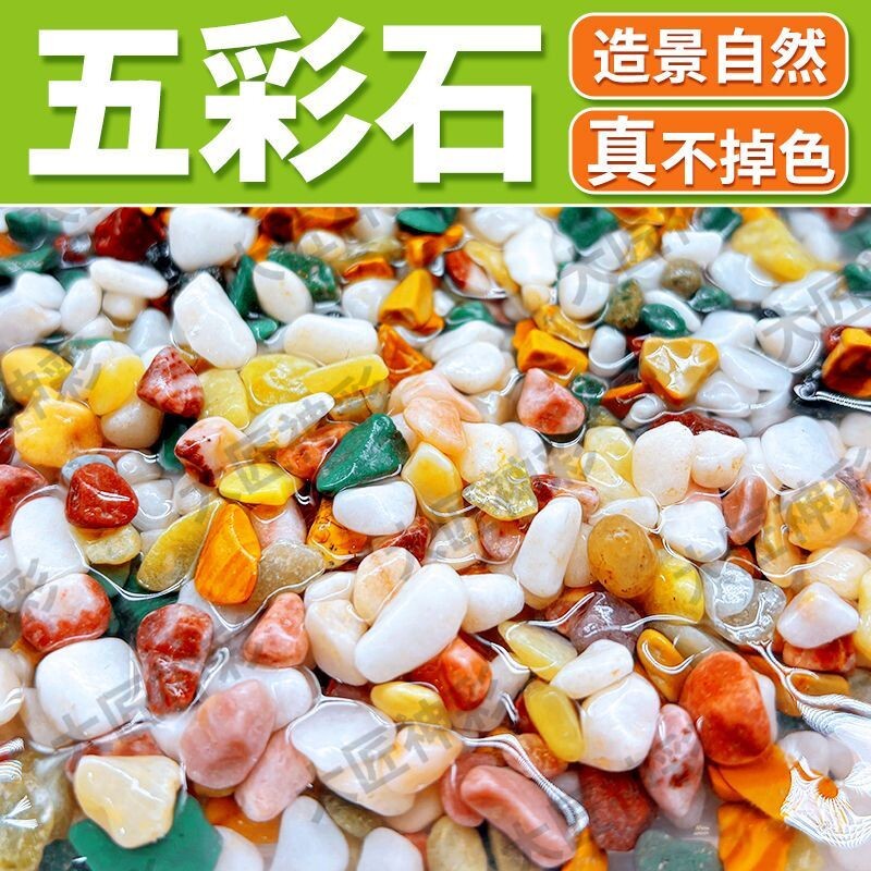 天然五彩花石水族鱼缸造景石头底砂水培多肉花盆装饰石子彩石铺面