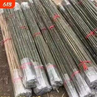 竹竿棍菜园爬藤架搭架子竹子杆蔬菜架竹黄瓜豆角庭院栅栏竹竿篱笆