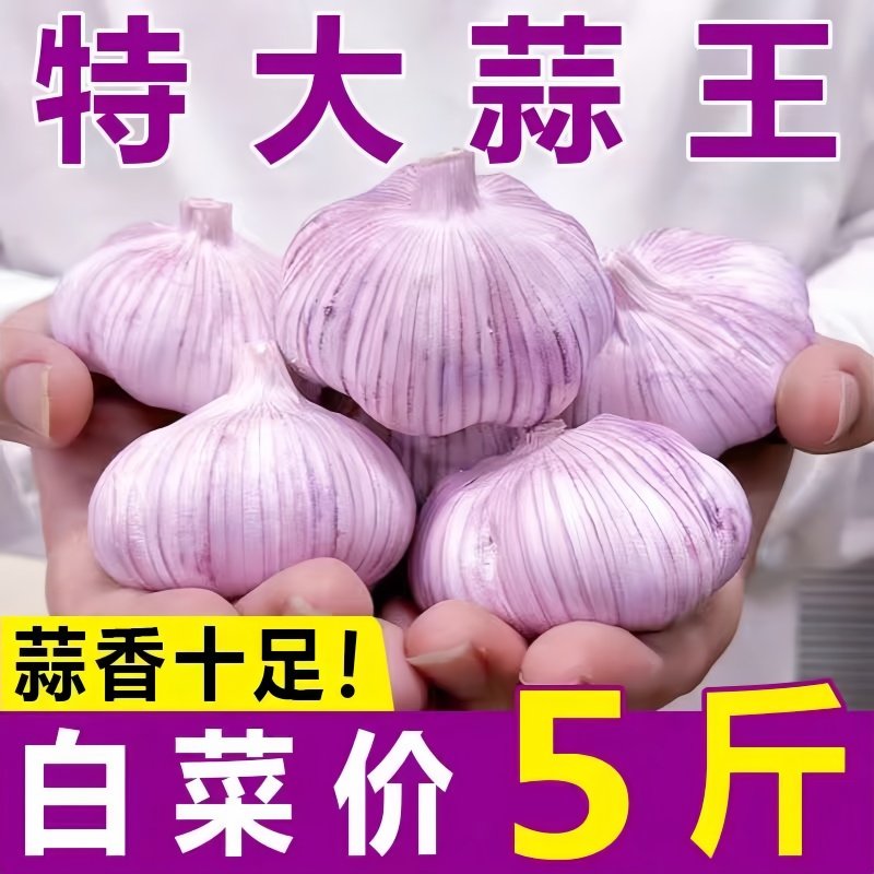 2026山东特大干蒜头5斤新蒜农家紫白皮新干蒜优质大蒜整箱,水产肉类/新鲜蔬果/熟食,大蒜,淘宝优惠券,粉丝福利购,淘宝优惠卷