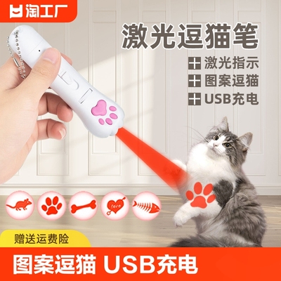 USB充电逗猫激光笔多图案功能