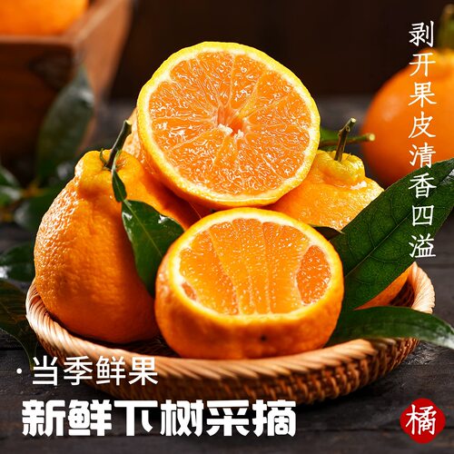 不知火丑橘9斤大果四川水果新鲜应当季整箱无籽柑橘耙耙蜜桔