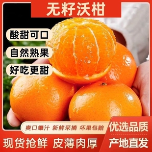 正宗广西091无籽无核沃柑手剥沃柑子应季水果橘蜜桔薄皮多汁优选