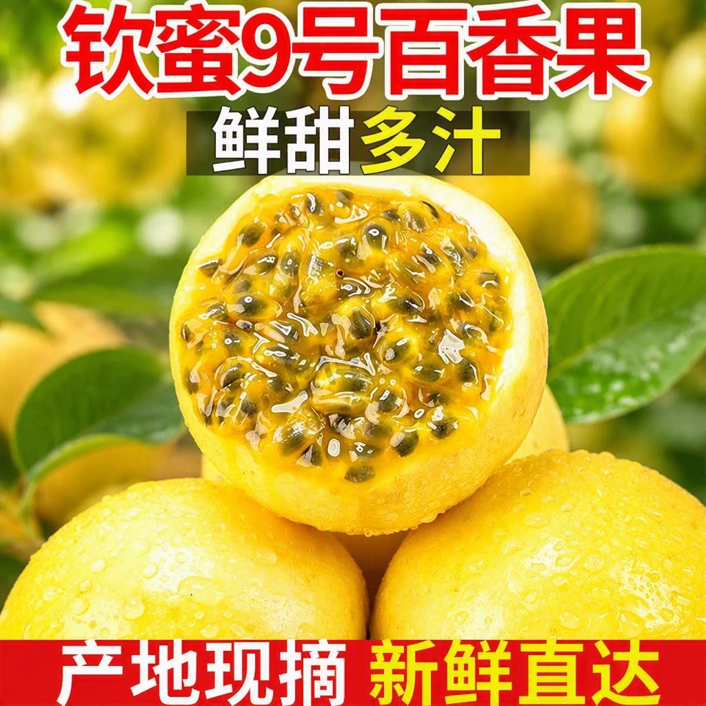 钦蜜9号黄金百香果新鲜水果包邮5斤大果应季孕妇水果黄金果农场