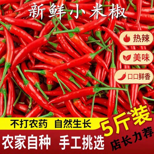 新鲜小米辣特辣小米椒鲜椒朝天椒红辣椒指天椒红辣椒产地包邮