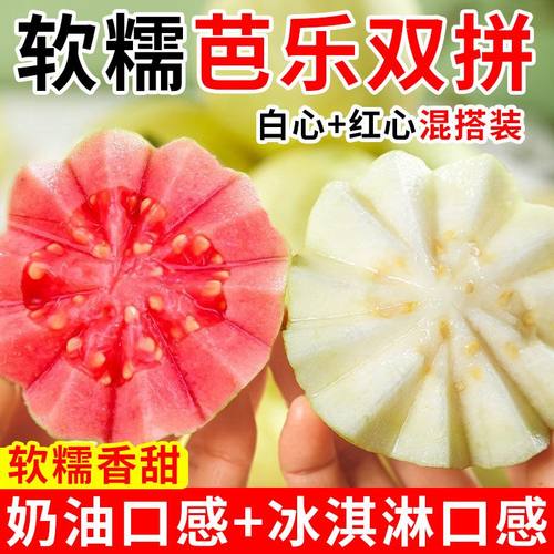 双拼芭乐红心白心芭乐软糯香甜