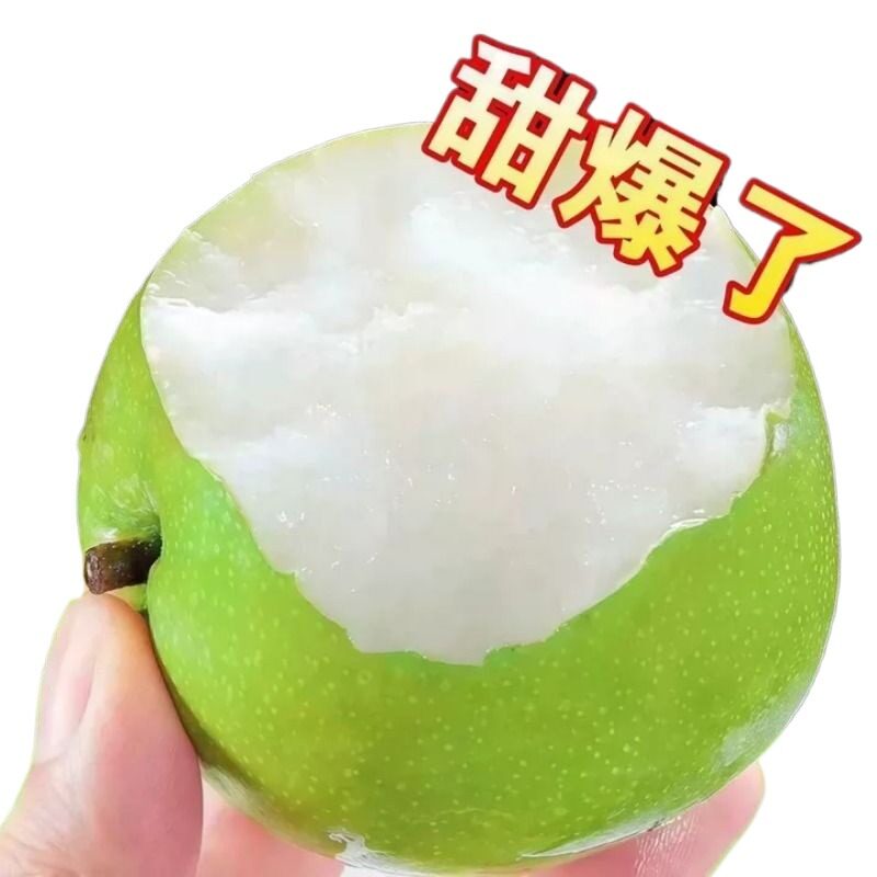 2026年新梨砀山梨皇冠梨青皮蜜梨图片