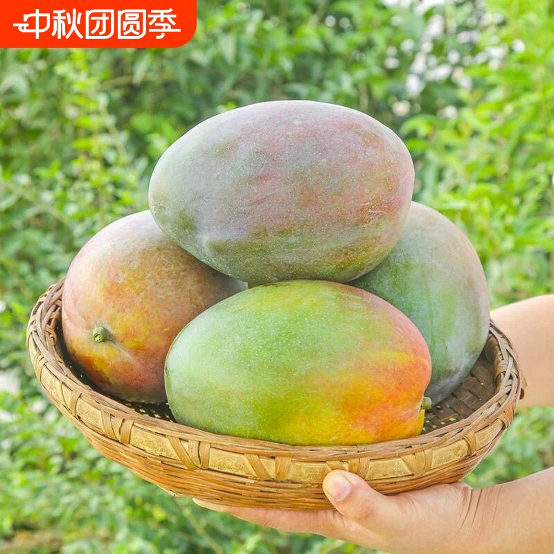 商品图片