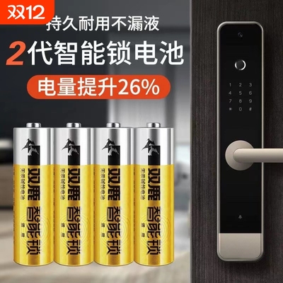 第二代双鹿智能锁电池，当天发货