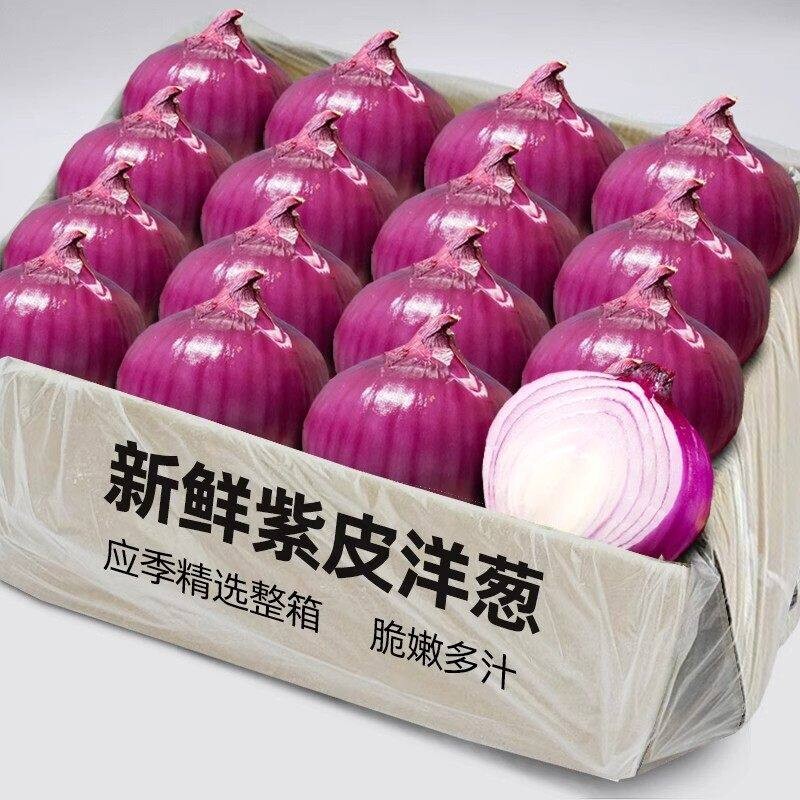 紫皮洋葱生吃专用蔬菜圆葱整箱包邮水果洋葱新鲜送货自种