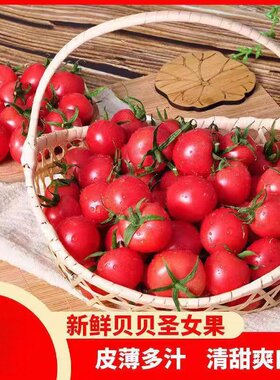 圣女果贝贝千禧小番茄西红柿现摘新鲜水果蔬菜一颗老品种清甜优质