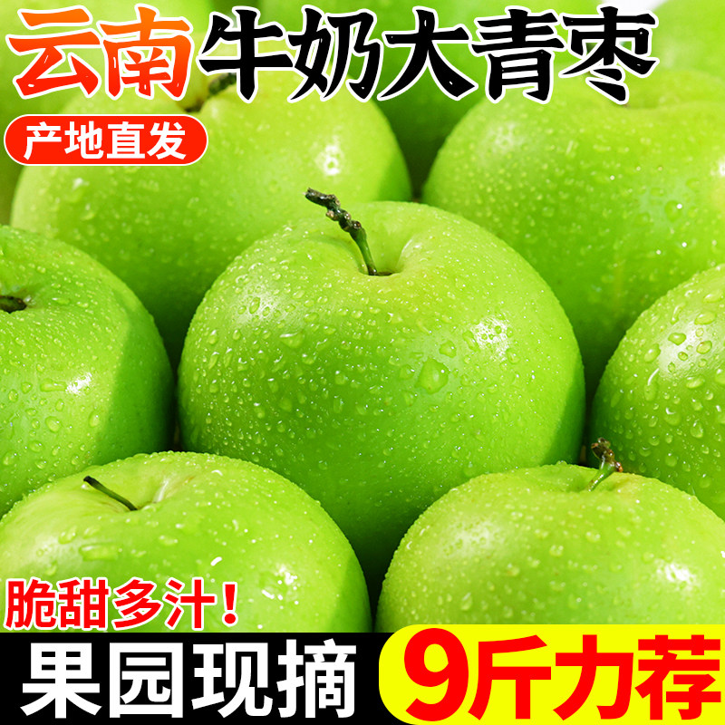 现摘云南牛奶青枣当季新鲜水果苹果枣贵妃冬枣9斤蜜枣整箱,水产肉类/新鲜蔬果/熟食,枣,淘宝优惠券,粉丝福利购,淘宝优惠卷