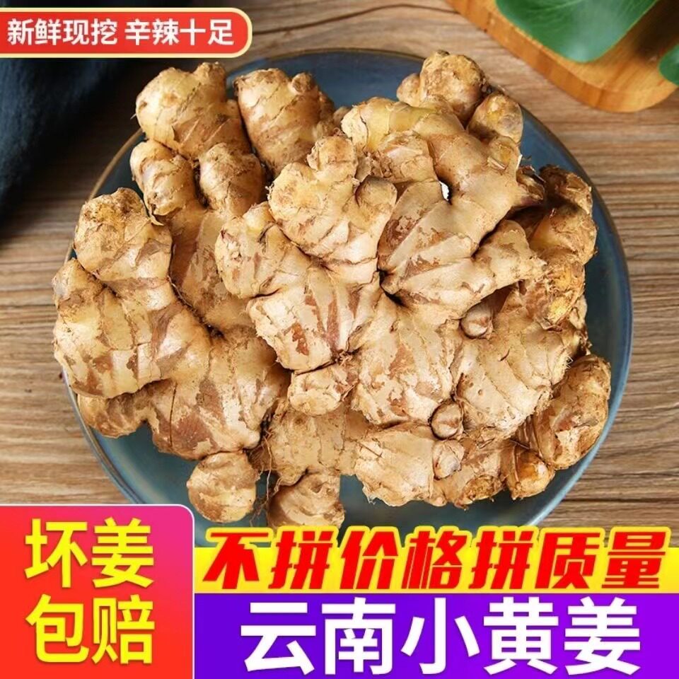 2025正宗云南小黄姜老姜生姜新鲜土姜现挖鲜姜包邮月子姜农家自种