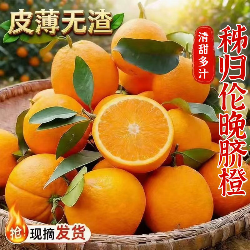 正宗伦晚脐橙春橙秭归橙子当季新鲜水果整箱手剥果冻甜榨汁大果