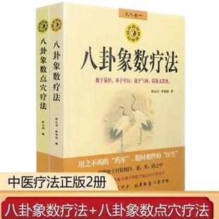 正版八卦象数点穴疗法 八卦象数疗法李山玉李健民著配方大全中医基础理论知识中医学易经数理秘笈中医解周易医学书籍