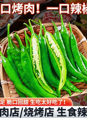 新鲜青辣椒正宗青阳辣椒中辣蔬菜现摘薄皮青椒烤肉旗舰店尖椒微辣