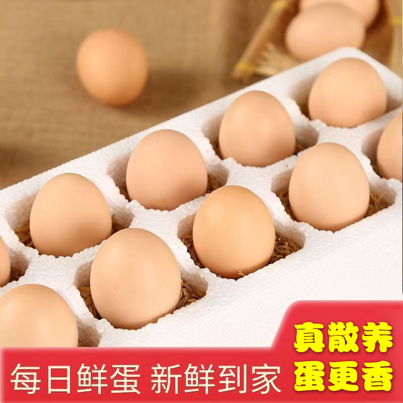 正宗散养新鲜土鸡蛋农家草鸡蛋初柴鸡蛋笨鸡蛋红心蛋40-50g多规格,水产肉类/新鲜蔬果/熟食,鸡蛋,淘宝优惠券,粉丝福利购,淘宝优惠卷