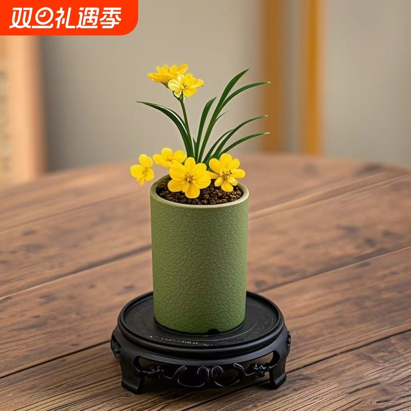 迷你文人草麦冬盆栽盆景驱蚊室内绿植花卉桌面办公室好养植物四季