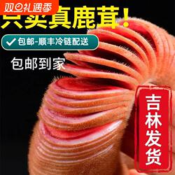 鹿茸片切片鲜鹿茸整枝新鲜吉林鹿茸片正品带血血片头茬泡酒料药材
