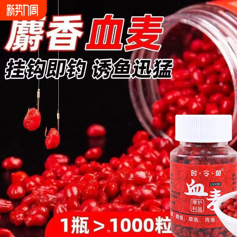 谷麦钓血麦粒鱼饵颗粒鱼料鱼食野钓钓饵专用钓料鲫料青鱼