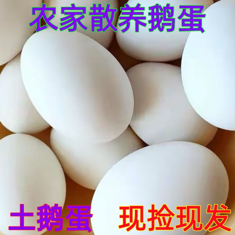 农家散养土鹅蛋新鲜生态鹅蛋现捡现发孕妇宝宝大鹅蛋营养健康