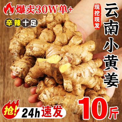 2025新云南小黄姜红河新鲜生姜老姜现挖高山沙姜土姜种子蔬菜9斤