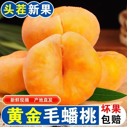 蒙阴黄金毛蟠桃5斤新鲜桃子水果正宗脆甜黄肉扁桃当季整箱包邮