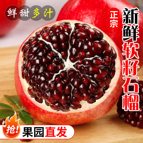 2026正宗突尼斯软籽石榴四川会理新鲜水果现摘产地直发孕妇专吃